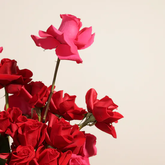 Levo Chocolate Box | Fragrant Flowers Box
