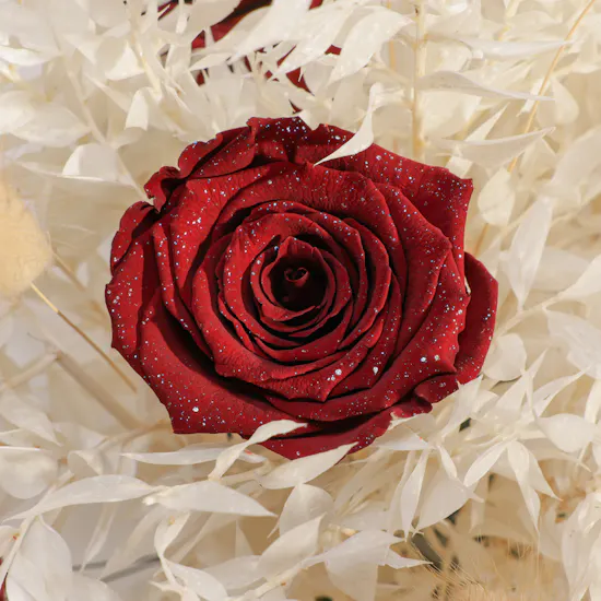 Velvet Rose Elegance Vase