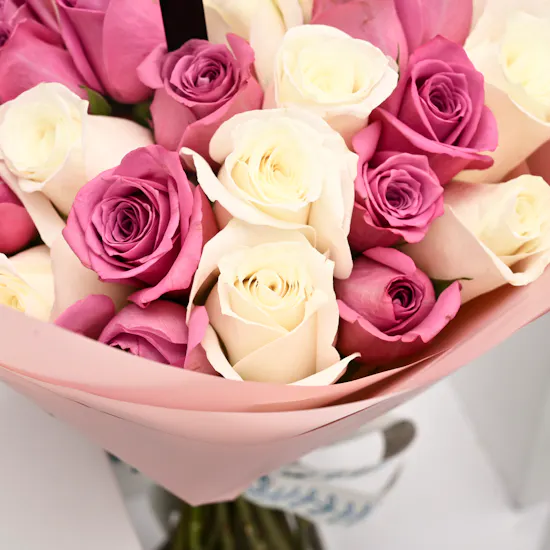 Mix Roses, graduation collocation.