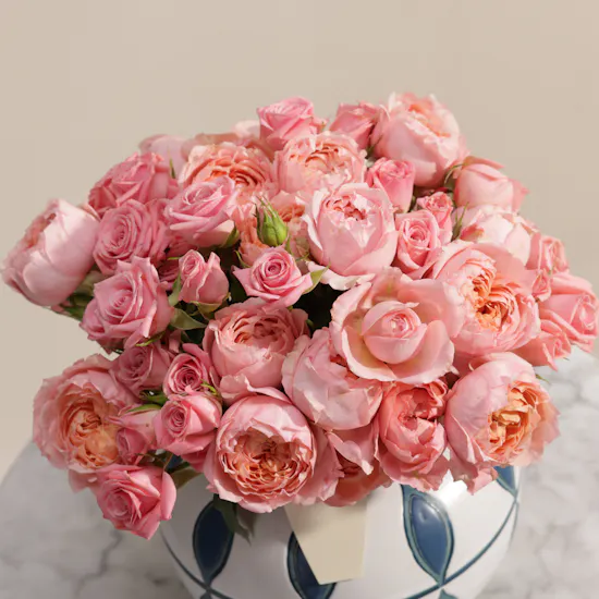 Tender Devotion Roses Vase