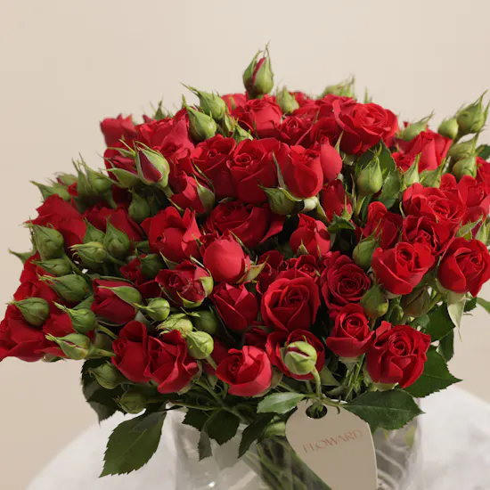 Ruby Cloud Flower Vase