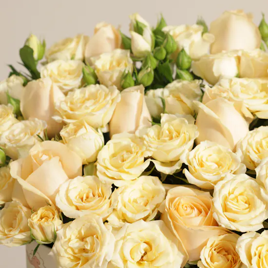 The Tender Heart Peach Roses Box