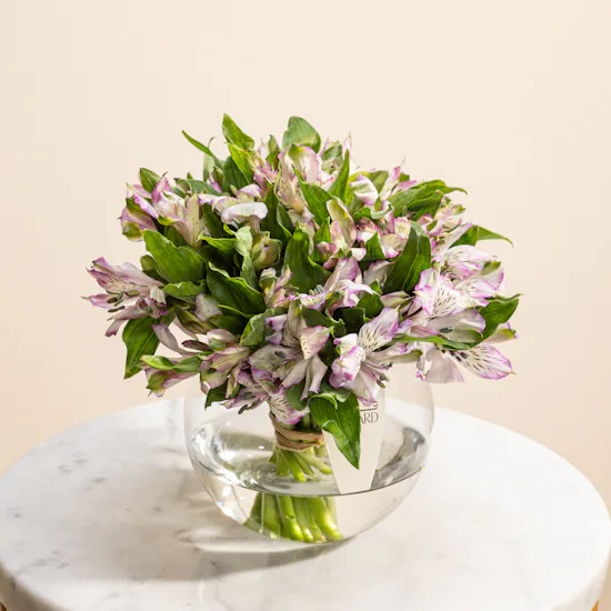 Whispers of Violet Flowers Vase