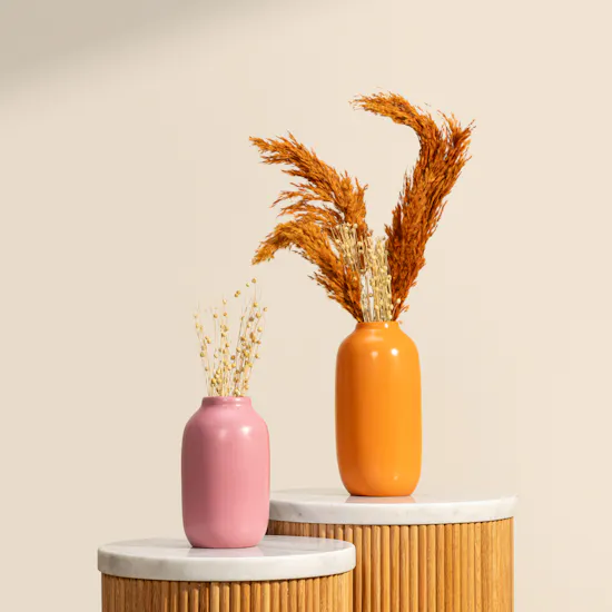 Ukiyo Vii Orange and Pink Vase Set