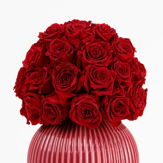 Preserved Roses Large | Knabstrup Vase