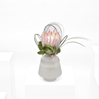 Lovely | Pink Protea Vase by Faisal Alghazzawi