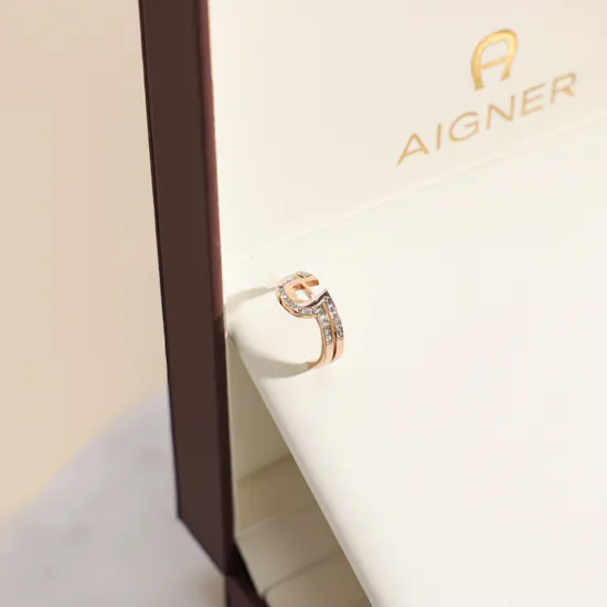 Aigner Fashion Women's Earrings