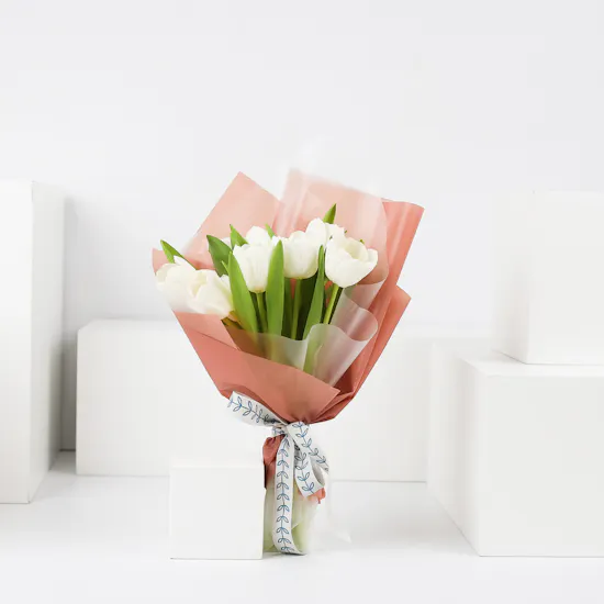 White Tulip | Pink Wrap