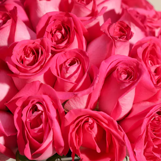 Fuchsia Brilliance Vase | 50 Flowers