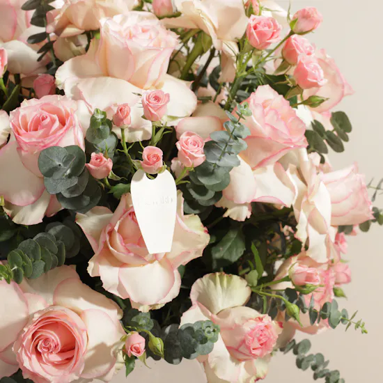 Enchanting Blush Rose Vase