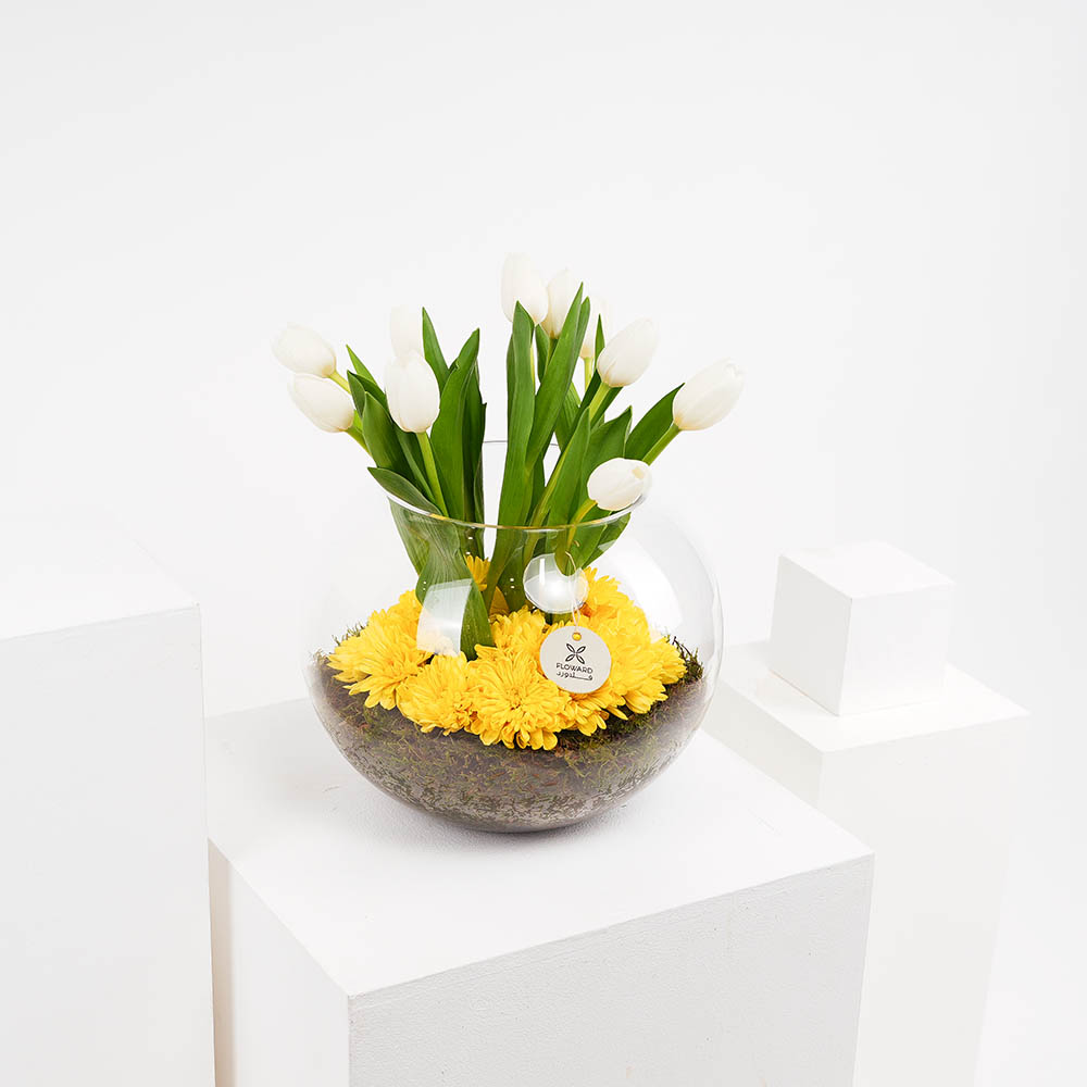 فازة الربيع المشرق 