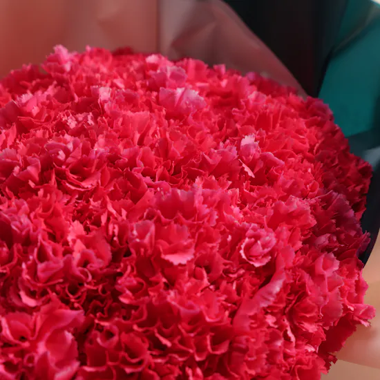 Unique Fuchsia Carnation Box | 35 Flowers