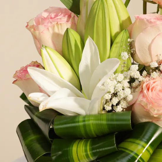 Esperance Rose | Glass Vase