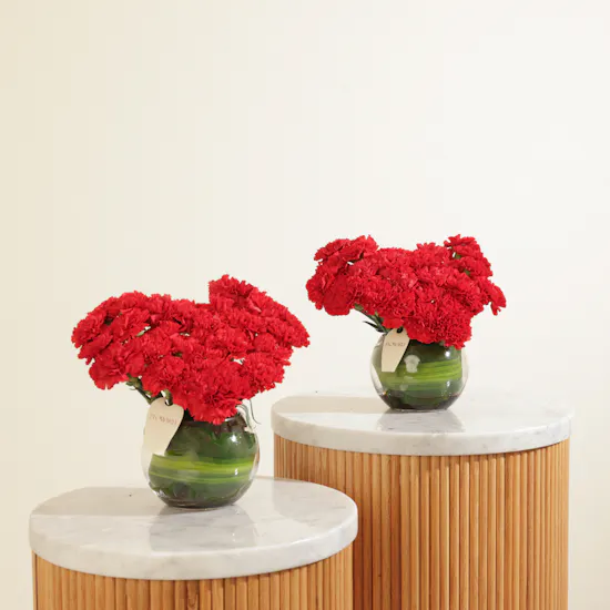 Velvet Promise Duo Carnation Vase