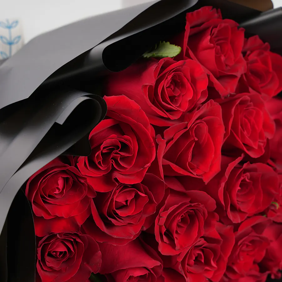 B_Fit Gym Membership | Enchanting Red 5