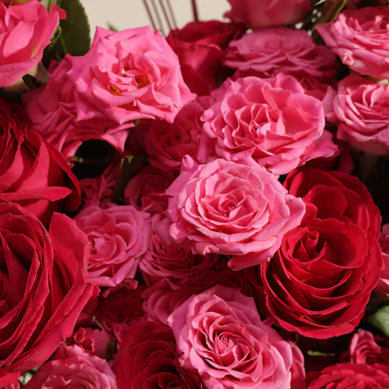 Warm Heart Fuchsia Roses Bouquet