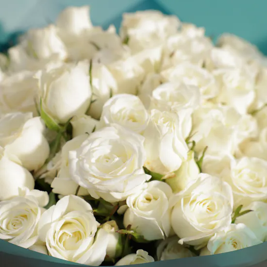 Royal White Baby Rose Bouquet | 35 Flowers
