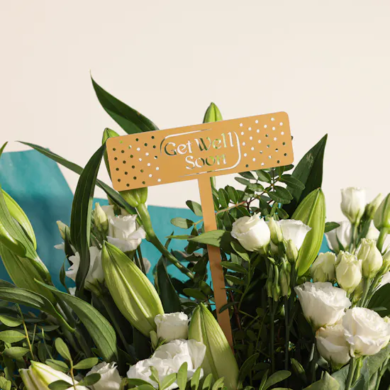 Floward Plain Chocolate | Get Well Soon Blooms