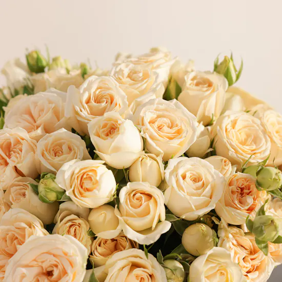 Mubkhar Tuscan Grove Candle | Peach Baby Roses Vase