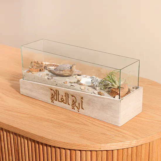 Beach Terrarium