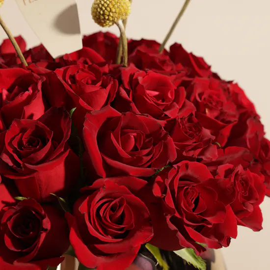 Läderach Assorted Chocolates Box | Festive Flower Vase and Balloons