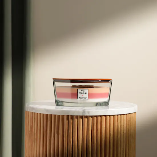 WoodWick Blooming Orchid Ellipse Trilogy Candle | 453 g