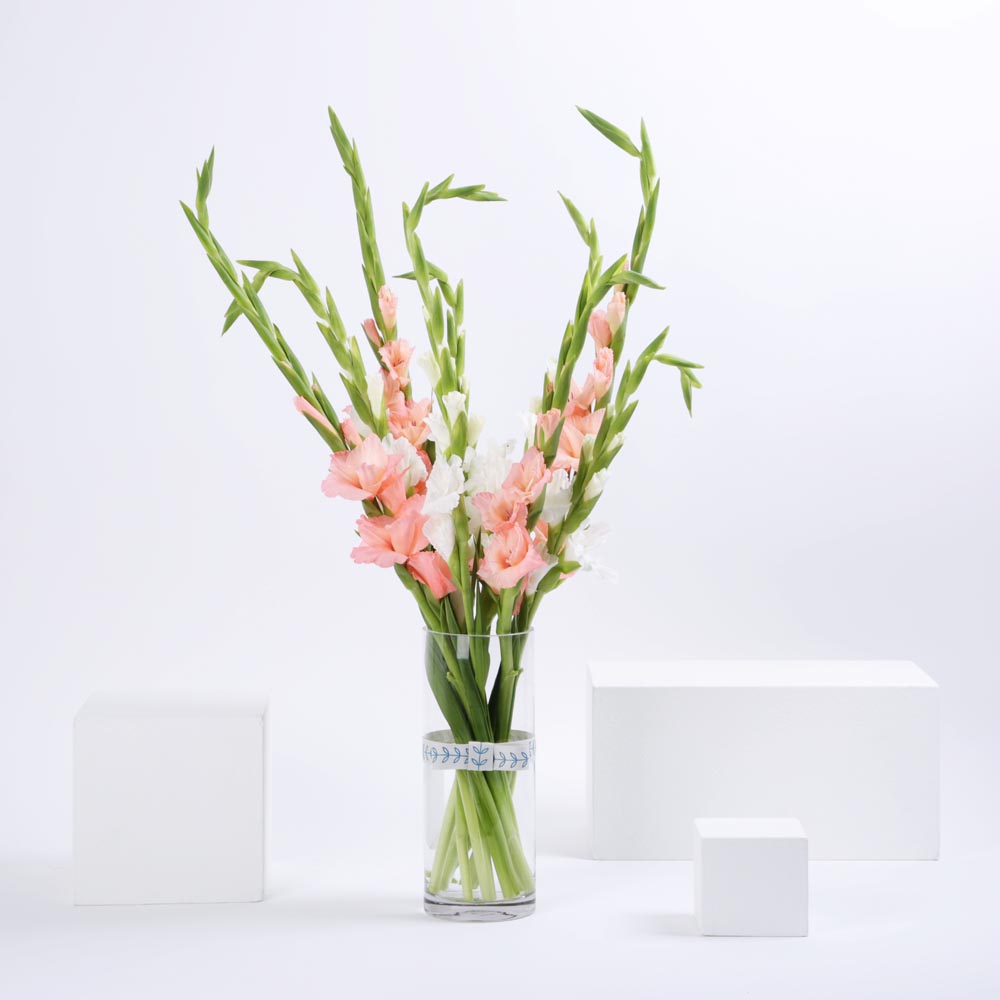 غلاديلاس وردي منعش | مزهريه زجاج