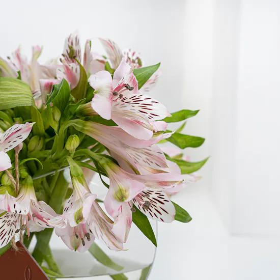 Merie Pink | Glass Vase