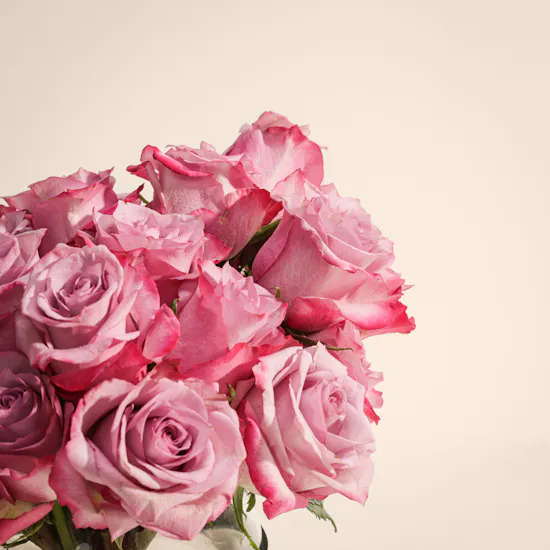 The Roses Impression Vase