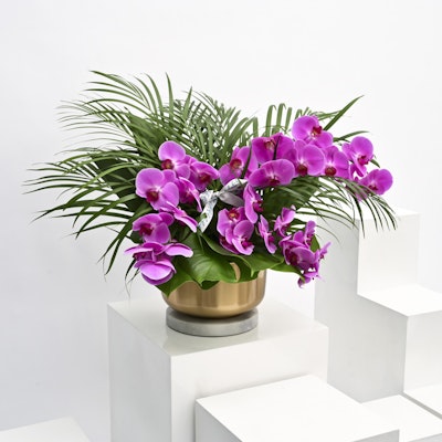 Vibrant Orchids Vase