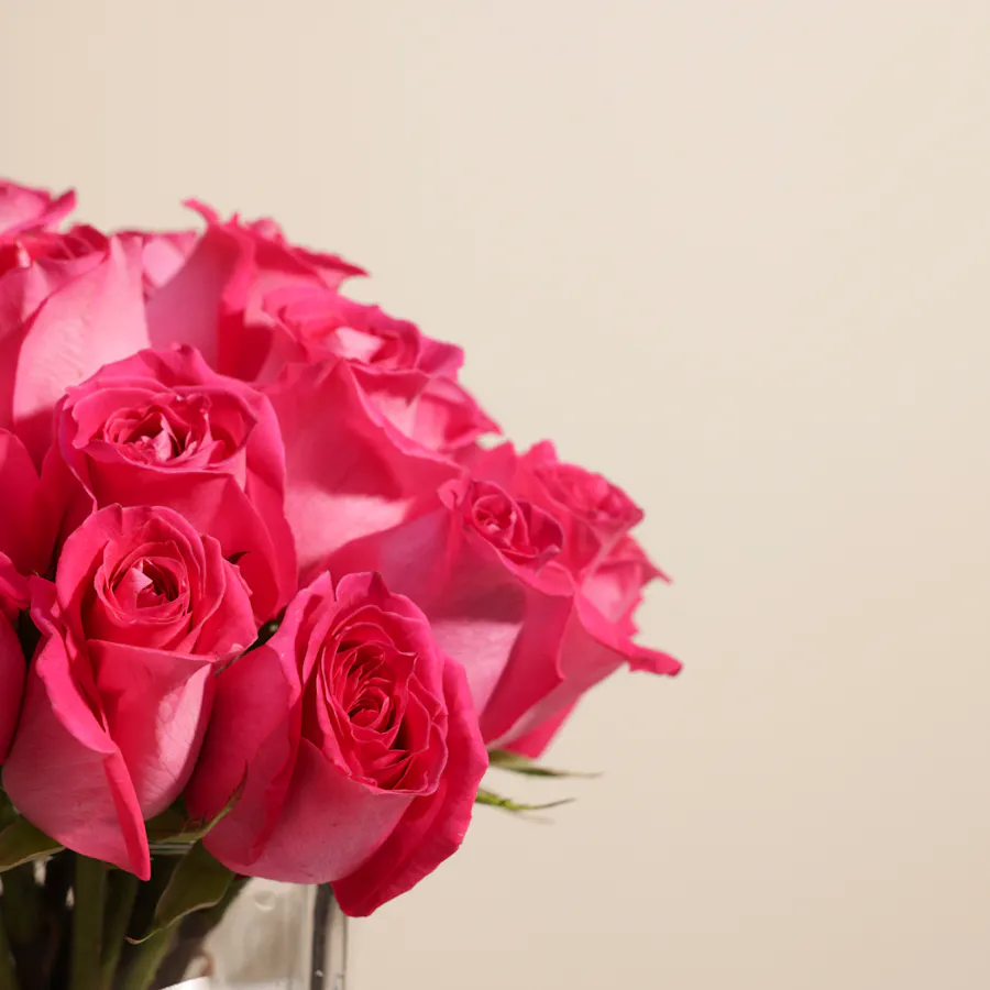 Fuchsia Elegance Vase | 35 Roses 2