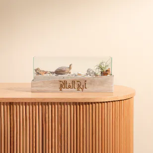Beach Terrarium