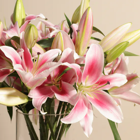 Charming Pinky Lily Vase | 12 Flowers