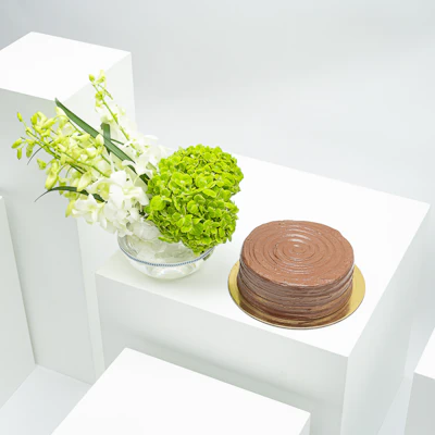 كيك الشوكولاتة من منش بيكري | مهرجان الجمال كيك الشوكولاتة من منش بيكري | مهرجان الجمال