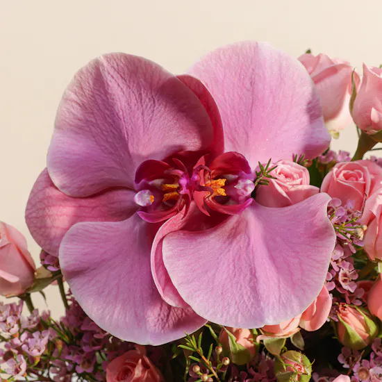 Delicate Blossoms Vase