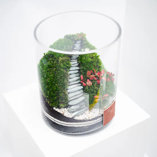 Little Vibrant Forest | Closed Terrarium