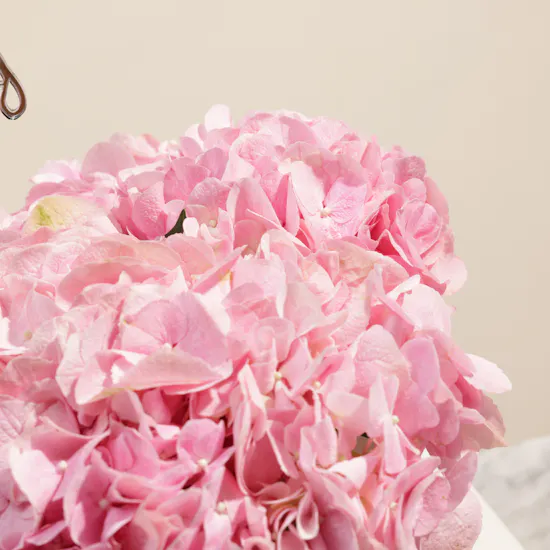 Glorious Happy Birthday Pink Hydrangea Box