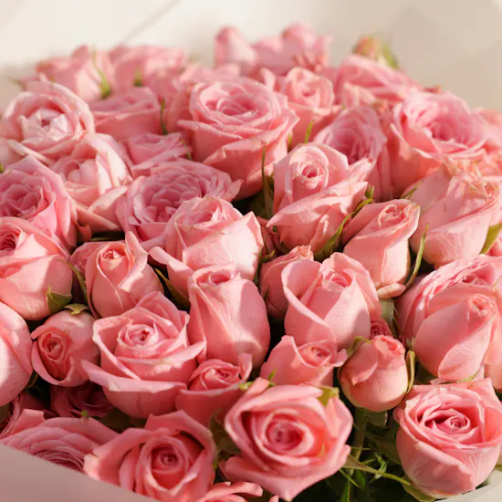 Blushing Baby Roses Bouquet | 25 Flowers