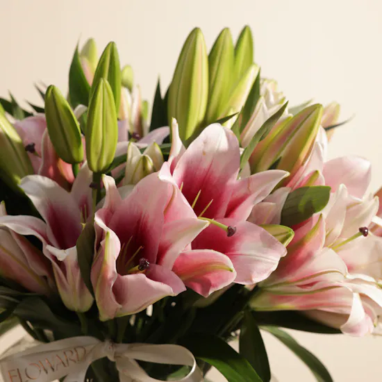 Amazing Pink Lily Vase | 20 Flowers