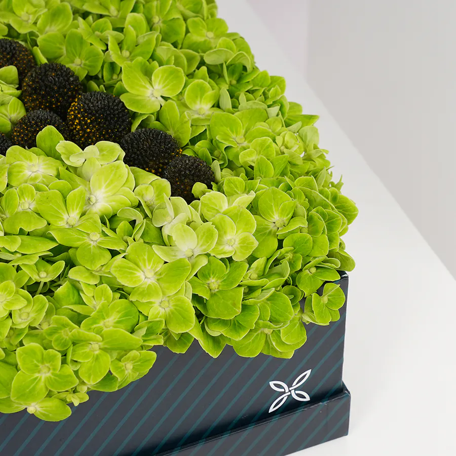Personalized Flowers Letters  | Craspedia 3