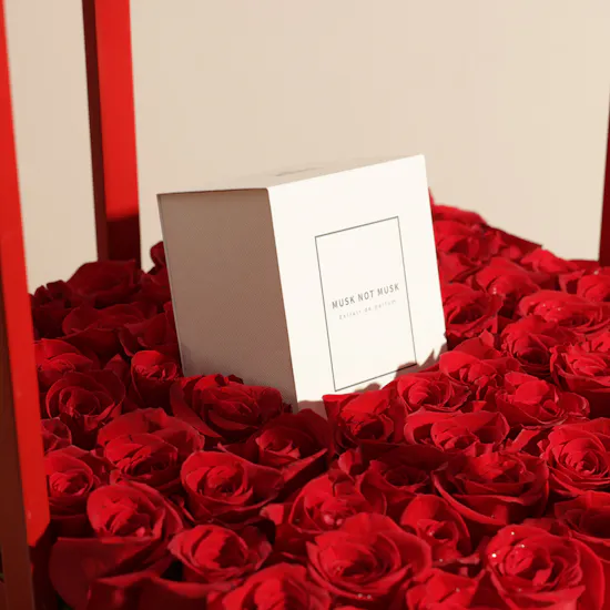 Batlah Musk Not Musk Unisex Extrait De Parfum | Red Rose Love Box