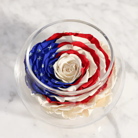 Love and Vitality Preserved Rose Vase