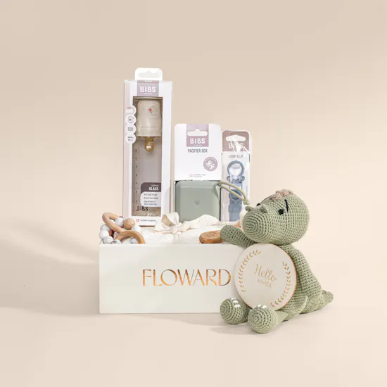 Floward Newborn Baby Welcome Pack