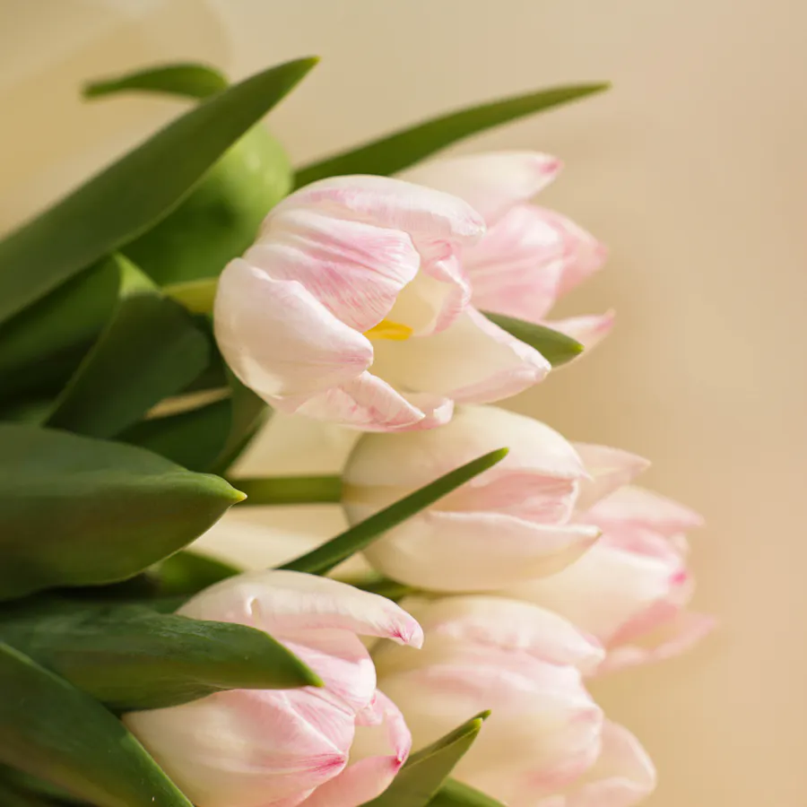 Delicate Pink Blossom Bouquet 5