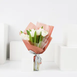 White Tulip | Pink Wrap