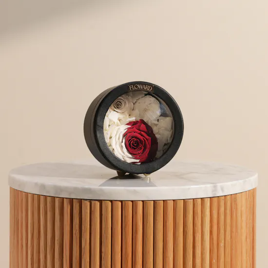Qatar Flag Preserved Rose