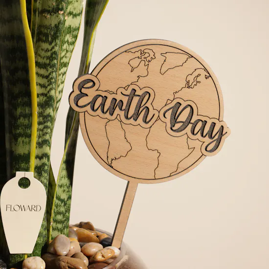Unique Nigerian Sansevieria Earth Day Plant