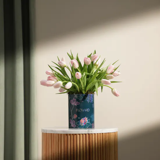 Gentle Pink Tulip Box | 30 Flowers