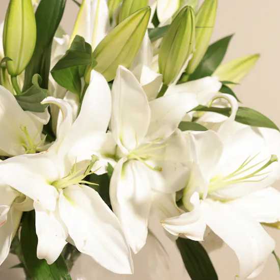 Elegant White Lilies Vase | 20 Flowers