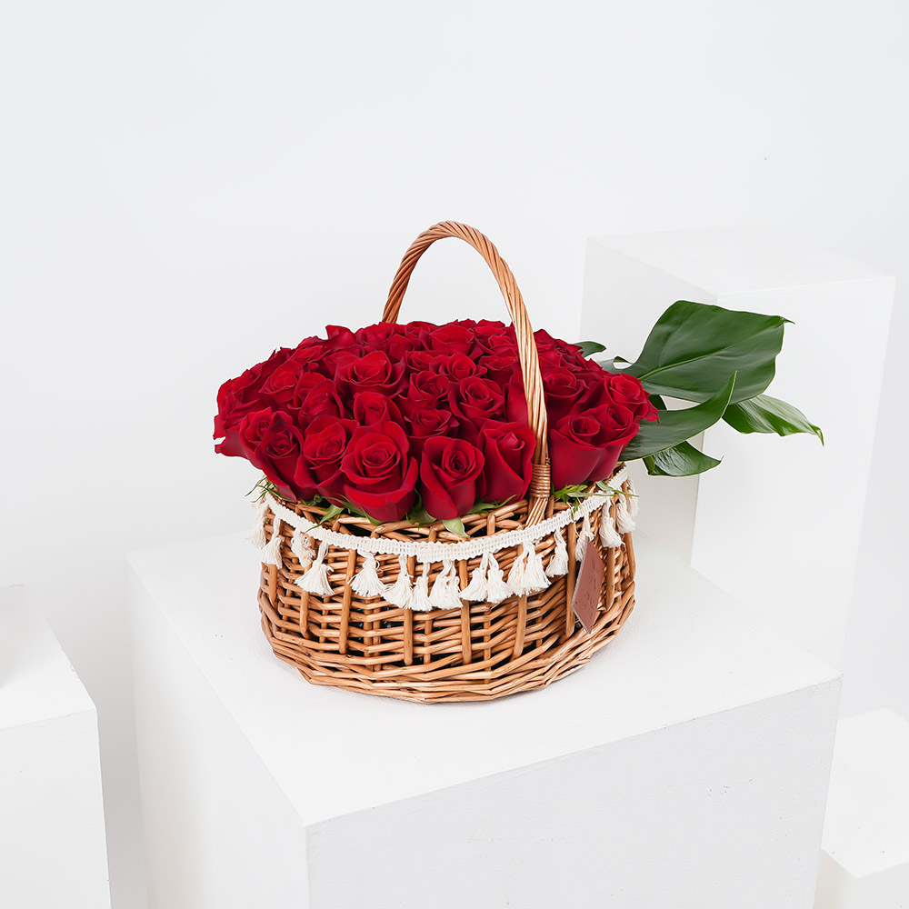  جوري و مونسترا 